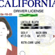 Illustration for article titled Worth It: Not Having a Drivers License